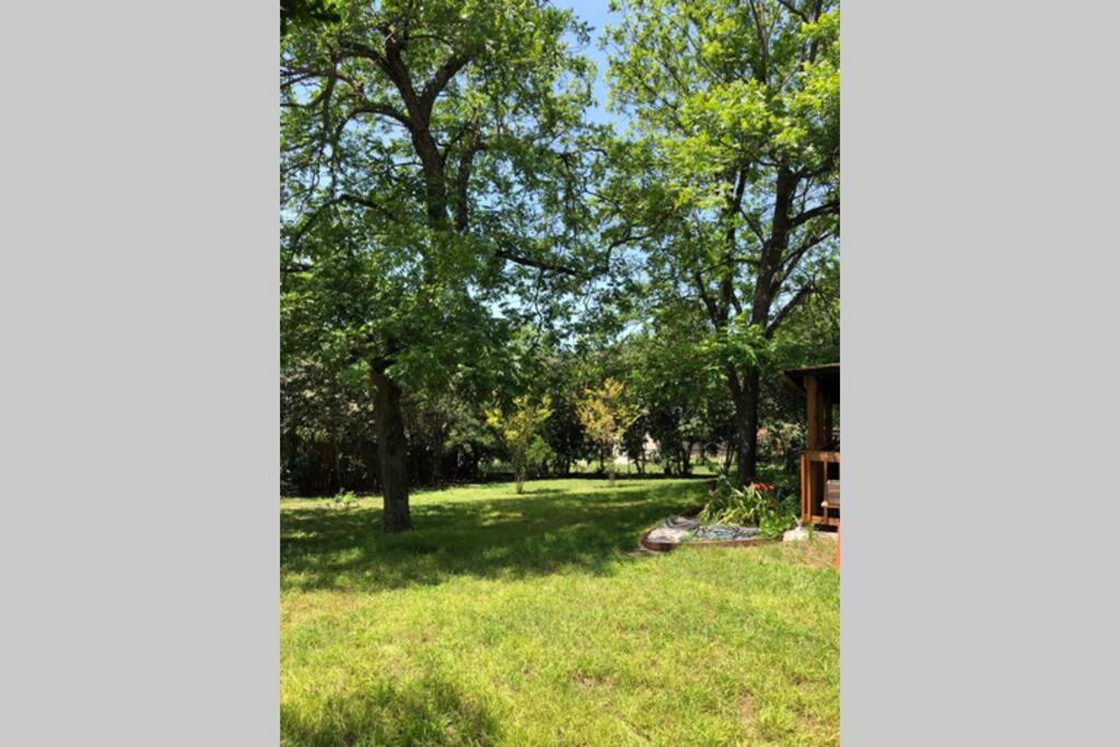 Mid Century Modern Beauty San Antonio Exterior photo